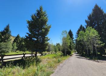 Stoddard Creek road