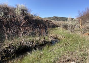 Creek with grasslands near hillside