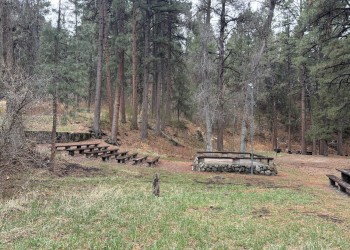 A side view of the Amphitheater located at the Ponderosa Picnic Area on the Fishlake National Forest