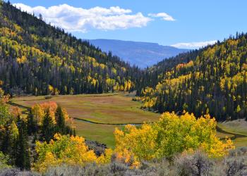 Autumn view above Zedds Meadow looking east, part of the Fremont River Ranger District in the Fish Lake Basin