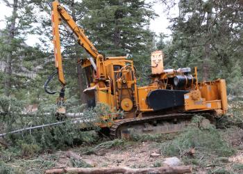 A large piece of equipment is used for a mechanical thinning project on the Fishlake National Forest