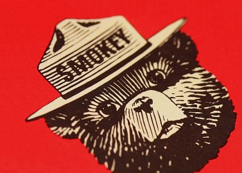 Smokey Bear Logo