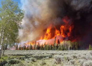 Smoke and flames are shown consuming mixed conifers from a wildfire on the Fishlake National Forest