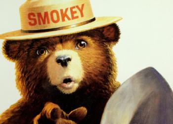 Smokey bear portrait image