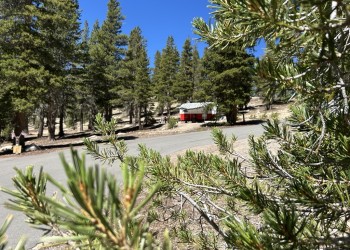 Mt. Rose Campground