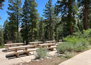 Cathedral Rock Picnic Area