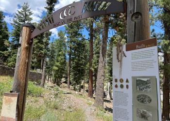 Cathedral Rock Picnic Area