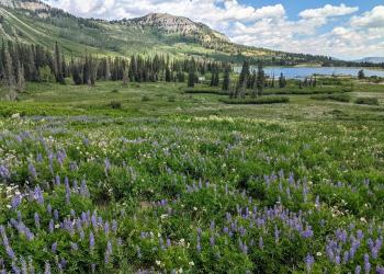 Ferron Reservoir Scenic