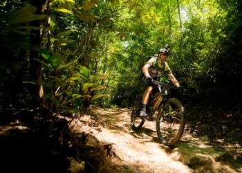 A mountain biker races through a thick forest on a trail.