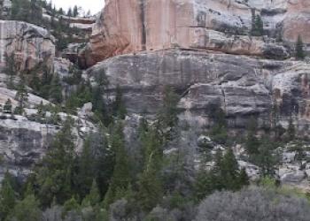 Red rock cliff with tall pine trees and brush in flat below