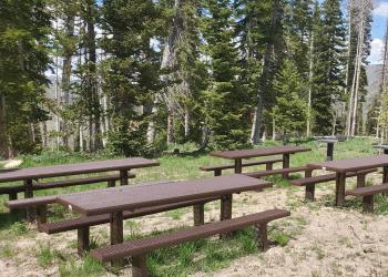 Several picnic tables in the forest