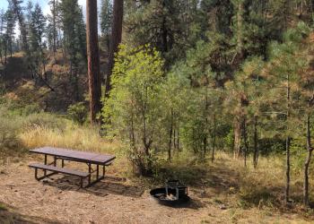 Sunny campsite with picnic table and fire ring. 