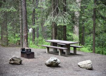 Forested campsite with picnic table and fire ring.