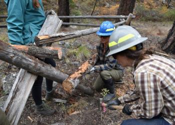 People in hardhats kneel next to a historic fence with tools to repair it