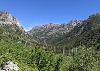 A mountainous canyon with green foliage.