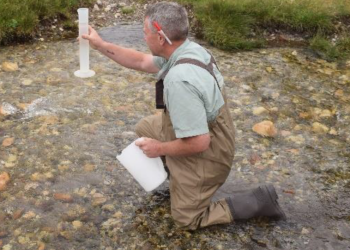 Fisheries Biologist Bart Gamett assists with a pre-treatment bioassay.