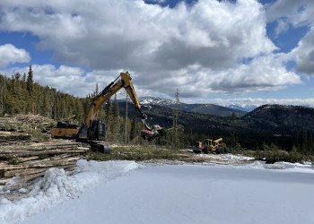 Timber Sale