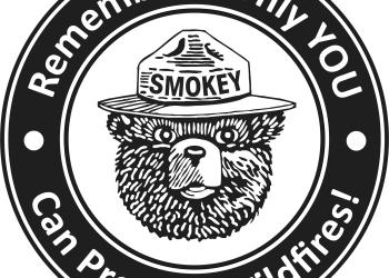 Smokey Bears Face in Black and White