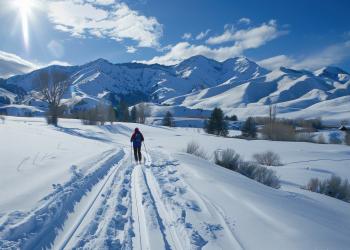 A cross country skier glides in the tracks others laid before. Clean snow blankets either side of the tracks and short vegetation and bare trees dot the landscape. Snow-covered mountains in the distance lead to a blue sky peppered with wispy clouds. 
