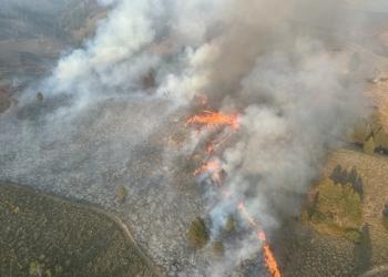 An aerial view of a wildland fire on forested land. Smoke billows from the bottom left of the frame to the top right. A orange line of active fire burns up the middle of the frame.