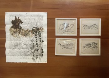 Artwork is mounted to a wall of horizontal wood slats. 