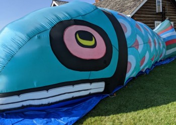 A large blow-up Salmon lays on grass. In the background is a log cabin building.
