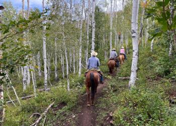 Riders on horseback riding on a trail, surrounded by green aspen and pine trees