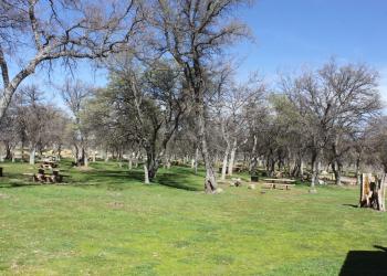 Oak Flat Amenity