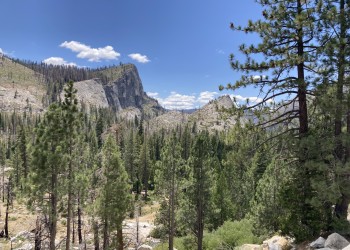 view of lovers leap cliff with trees in the foreground