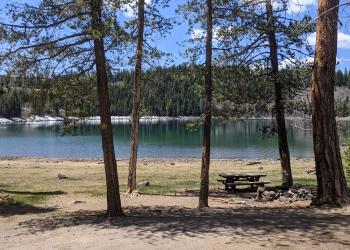 A Lake with tall pine trees around and blue skies. A picnic table on the shore.
