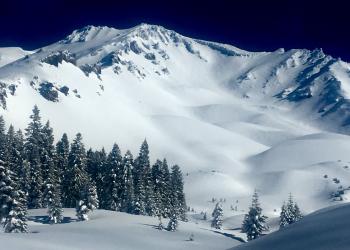 Snow covers the slopes of Mount Shasta while evergreen trees can be seen in the foreground.