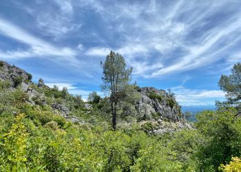 Shrubs and trees can be seen near a rocky crag under blue skies and wispy clouds.