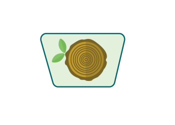 cross section of a cut log