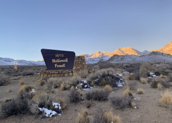 forest sign, shrubs, mountains, snow, sky