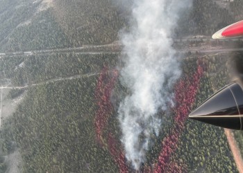 smoke, trees, fire retardant, plane