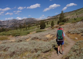 A backpacker carries a pack while hiking along a mountain trail with scattered trees