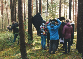 Group of people in forest taking pictures