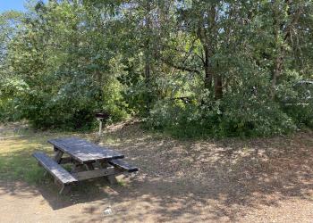 picnic table at Curley jack Campground