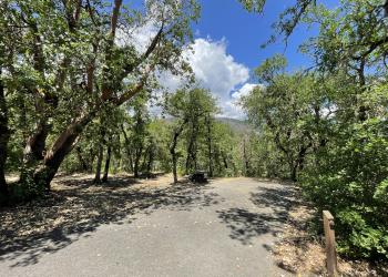 Trees and trails of Curley jack Campground