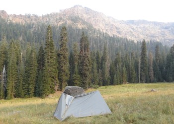A grey tent set up in a meadow with a heavily forested background. 