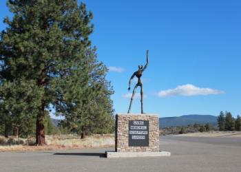 Statue installed in forest