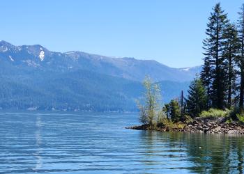 Large blue lake with shoreline and tall trees to the right, and mountains and trees behind. Clear, blue skies above. Lake Almanor on the Lassen National Forest.