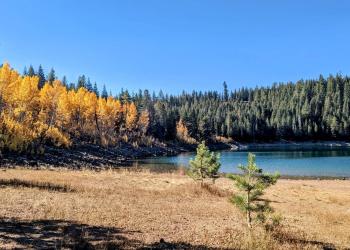 brown grass against shore of Crater Lake. Blue skies and water, yellow leafed trees on left shoreline and green pines behind