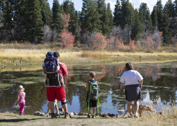 A family standing by a lake, wearing hiking gear, backs to camera
