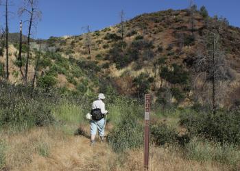 Hiker in Mendocino National Forest on the Thomes Gorge Trail during summer