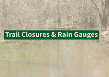 Flooded trail with text 'trail closures & rain gauges'