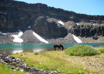 A horse standing near an alpine lake at the base of a rugged mountain ridge.