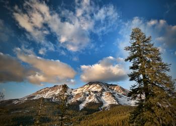 White snow and brown, rocky formations are seen on a mountain under blue skies with white and gray clouds. A forest covers the mountain's lower slopes with a tall evergreen tree is seen in the foreground.