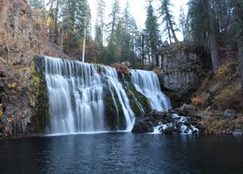McCloud waterfall with trees around it
