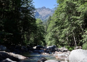 Mountain between trees along a river corridor.
